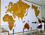 動物世界地図