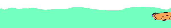 �A�V�J�̃C���X�g
