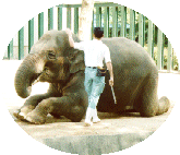�Y�[�̑̏d2,875kg